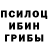 Псилоцибиновые грибы Psilocybine cubensis Daedra Jones