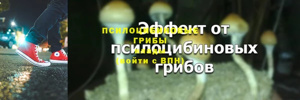 первитин Карпинск