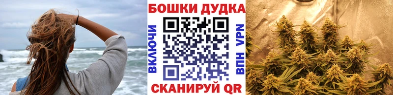 Бошки Шишки THC 21%  Купить где  Бежецк 